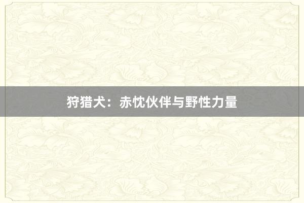 狩猎犬：赤忱伙伴与野性力量