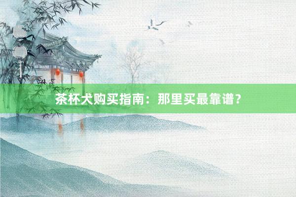 茶杯犬购买指南：那里买最靠谱？